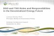 DSO and TSO Roles and Responsibilities in the ... · DSO and TSO Roles and Responsibilities in the Decentralized Energy Future ... – Multi-directional energy flows & varied resource
