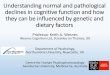 Understanding normal and pathological declines in ...ilsi.org/europe/wp-content/uploads/sites/3/2016/05/2_Wesnes.pdf · Understanding normal and pathological declines in cognitive