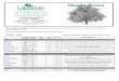 Shade Trees - Lakeshore Garden Centrelakeshoregardencentre.com/pdf/shade-trees-2017.pdf · Shade Trees Prices range from $99.99 - $189.99. Prices are based on both size and species