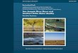 San Joaquin River Flows and Southern Delta Water … · for the San Francisco Bay–Sacramento San Joaquin Delta Estuary ... Southern Delta Water Quality Objectives and Implementation