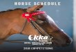 horse Schedule - ekka.com.au · no late entries will be accepted prizes and prize money subject to change no refunds will be made after close of entries 141st royal queensland show