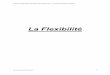 La Flexibilité - garfield576.free.frgarfield576.free.fr/flexibilite.pdf · Comment augmenter la flexibilité dans l’entreprise ? L’arbitrage employeur-employé Gestion du Personnel