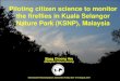Piloting citizen science to monitor the fireflies in … - Thursday... · Piloting citizen science to monitor the fireflies in Kuala Selangor Nature Park (KSNP), Malaysia Wong Choong
