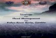 STRATEGY FOR FLOOD MANAGEMENT FOR … · Strategy for Flood Management for Kafue River Basin 6 Preface Mitigating the adverse impacts of extreme hydro-meteorological events such as