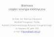 Biomasa ciepło i energia elektryczna - home.agh.edu.plhome.agh.edu.pl/~romus/OZE/Wyklady/Czyste%20energie%202012/Cz… · Kotły na biomasę w tradycyjnych systemach grzewczych,