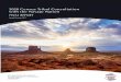 2020 Census Navajo Nation Tribal Consultation: .2020 Census Tribal Consultation ... The tribal consultation