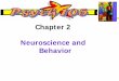 Chapter 2 Neuroscience and Behavior - University of …nlucas/Psych 105/Lecture Notes/Ch2.pdf · Chapter 2 Neuroscience and Behavior Neural Communication Biological Psychology branch