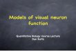 Models of visual neuron function - Cornell Universityphysiology.med.cornell.edu/people/banfelder/qbio/resources_2008/2... · Models of visual neuron function Quantitative Biology
