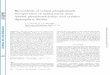 Biosynthesis of retinal phospholipids: of from · Biosynthesis of retinal phospholipids: ... Gerard, Banks, and Tschirgi (18), using ... Needham Heights, Mass.,