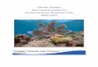 Florida Oceans And Coastal Council’s Annual … · The Florida Oceans and Coastal Council ... surrounded by coastal seas and ocean. ... Council’s Annual Science Research Plan