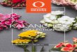 KALANCHOE - Dümmen Orange · DÜMMEN ORANGE is the only independent kalanchoe breeder and does not produce finished products for the market themselves. ... . ode eit tijd olour arbe