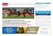 What's On - ANZ Bloodstock News · What's On. Race meetings: Canberra Acton ... dual Group One-winning mare Red Tracer (Dane Shadow) being out of Snippets ... the best sire in the