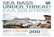 SEA BASS UNDER THREAT! EAA SOLUTIONS - … · bass stocks have declined by more than 20% since 2005, reports ices two million anglers in western europe fish for sea bass bass fishingand
