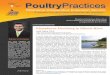PoultryPoultryPracticesPractices - Poultry Waste …poultrywaste.okstate.edu/Publications/files/Poultry Practices Feb... · disease can affect any age of chicken and ... The virus
