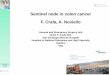 Sentinel node in colon cancer F. Crafa, A. Noviello · Sentinel node in colon cancer F. Crafa, A. Noviello ... Kitagawa Y, Kitajima M (eds) Selective sentinel lymphadenectomy for