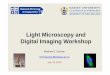 Light Microscopy and Digital Imaging Workshop€¦ · Light Microscopy and Digital Imaging Workshop ... ImageJ as a Tool for Digital Image Analysis ImageJ Basics ... Surface analysis