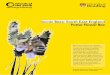 Iconic Bees: South East England Potter Flower Bee · Iconic Bees: South East England Potter Flower Bee Bees are a vital to the ecology ... iconic bees identified in this research