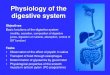 Physiology of the digestive system - FMED UK · Physiology of the digestive system Objectives Basic functions of the digestive system (motility, secretion, composition of digestive