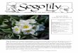 January 2014 (volume 37 number 1) - Utah Native … · Sego Lily January 2014 37 (1) ... Contact Rita Reisor ... Above: Blue flax (Linum lewisii, or L. perenne ssp. lewisii) is a