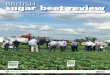 BRITISH sugar beet review - Home - BBRO · BRITISH sugar beet review ... evaluating new seed technology and we are aware that a number of growers have already received some of these