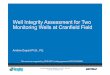 Well Integrity Assessment for Two Monitoring Wells … · Well Integrity Assessment for Two Monitoring Wells at CranfieldField ... •Environmental Scanning Electron ... •Control