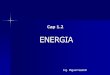 ENERGIA - Miguel Hadzichmiguelhadzich.com/wp-content/uploads/2013/05/Energia-y-Potencia... · Olla arrocera 1000 Plancha 1000 Radio 75 Refrigerador 200 Secadora ... Diagrama SANKEY