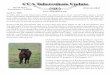 CCA Tuberculosis Update - wvmcattle.comwvmcattle.com/ccaTB.pdf · Tuberculosis test requirement. As of mid-April, a TB Test Exemption Import Certificate for cattle moved either 