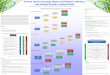 Decision Tool for Assessing Polymers and Polymeric ... SOT Poster.pdf · Decision Tool for Assessing Polymers and Polymeric ... based on polymer class, ... Funding for this project
