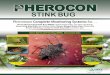 Pheromone Complete Monitoring Systems for… - … · INSECT PHEROMONE & KAIROMONE SYSTEMS INCORPORA TED ® Your Edge – And Ours – Is Knowledge. Green Stink Bug (GSB), Acrosternum