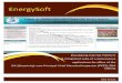 EnergySoft - eicelectricityodisha.nic.ineicelectricityodisha.nic.in/Forms/EIC Broucher.pdf · consumption of HT/ EHT sub-stations. has been Infrastructure Development 47 Desktop Systems
