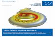 Tailor Made Casting Designs - Wolfensberger AG · material development in the field of cast steel alloys for specific applications for ... highly creep-resistant and ... Austenitic