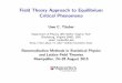 Field Theory Approach to Equilibrium Critical Phenomenaens.math.univ-montp2.fr/~calaque/Slides-Tauber-lectures.pdf · Renormalization Methods in Statistical Physics and Lattice Field