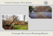 Union County, New Jersey County SRPR.pdf · Union County Strategic Recovery Planning Report ... Union County recognizes that this SRPR is a first step in a comprehensive strategy