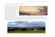 South Park View Analysis Summary - Oxford · South Park View Analysis Summary ... (sketched 1799, painted 1803-4 “A view of Oxford from ... rise above the general level of the rooftops