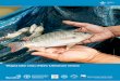 Tilapia lake virus (TiLV): Literature review - …pubs.iclarm.net/resource_centre/FISH-2017-04.pdf · Mona Dverdal Jansen1 and Chadag Vishnumurthy Mohan2 Affiliation 1 Norwegian Veterinary