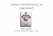Urinary Incontinence: an overview!! - BAUN · Urge incontinence Is the complaint of involuntary leakage accompanied by or immediately preceded by urgency2 1. Nitti VW. Rev Urol 2001;3(suppl
