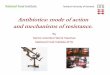 Antibiotics: mode of action and mechanisms of resistance. · By Senior scientist Henrik Hasman National Food Institute-DTU Antibiotics: mode of action and mechanisms of resistance