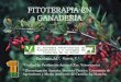 FITOTERAPIA EN GANADERÍA - orgprints.orgorgprints.org/29563/1/PRO004.pdf · DRAE: “Tratamiento de las enfermedades mediante plantas o sustancias vegetales.” fitoterapia “Ciencia
