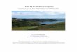 The Waiheke Project - Waiheke Island of Wine Report.pdf · The Waiheke Project, ... o The value of Waiheke as a case study for different departments within ... the island’s residential
