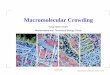 Macromolecular Crowding - Bioinformatics .Outline What: introduction, deï¬nition Why: implications