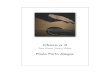 Choro Suite Capa - pauloportoalegre.com a 3.pdf · (para flauta, viola e violão) Choro a 3 Violão 