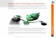 Master the 12 Principles of Animation · animator. Created by the pioneers of animation Frank Thomas and Ollie Johnston, and first introduced in The Illusion of Life: Disney Animation