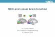 fMRI and visual brain function - cvrl.org Notes/Dekker/TD fMRI and visual brain... · • 1977 – First human MRI scan • 1991 – First fMRI paper published. ... – Those voxels