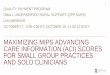 Maximizing MIPS Advancing Care Information (ACI) … · 11/10/2017 · Submit more than base score ACI measures for full participation Options for test pace or to submit data for