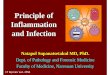 Principle of Inflammation and Infection · Principle of Inflammation and Infection Natapol Supanatsetakul MD, PhD. Dept. of Pathology and Forensic Medicine ... Inflammation is fundamentally