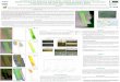 GANEVA Dessislava, Space Research and Technology …eoscience.esa.int/landtraining2017/files/posters/GANEVA.pdf · The study area is the Bulgarian part of the ... the test site and