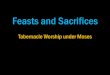 Tabernacle Worship under Moses - Let God be True · Tabernacle Worship under Moses . ... I come (in the volume of the book it is written of me,) to do thy will, ... 12 But this man,