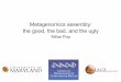 Metagenomics assembly: the good, the bad, and the … · Metagenomics assembly: the good, the bad, and the ugly ... technical issues. ... • Validation and standards are critical