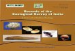 Year 2012 - Zoological Survey of Indiafaunaofindia.nic.in/PDFVolumes/records/112/04/index.pdf · Year 2012 Zoological Survey of India . ... (ii) Dr. K. VENKATARAMAN ... Tarsus and