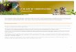 THE ART OF CONSERVATION - Melbourne Zoo Art of Conservation... · THE ART OF CONSERVATION Resource Pack . ... Teachers and students ... or metaphors explored or utilised in the artwork